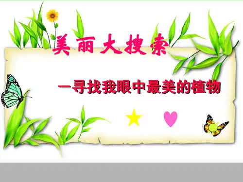 二年级下册美术第4课美丽的植物人美版