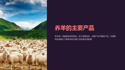 《养羊的主要产品》课件