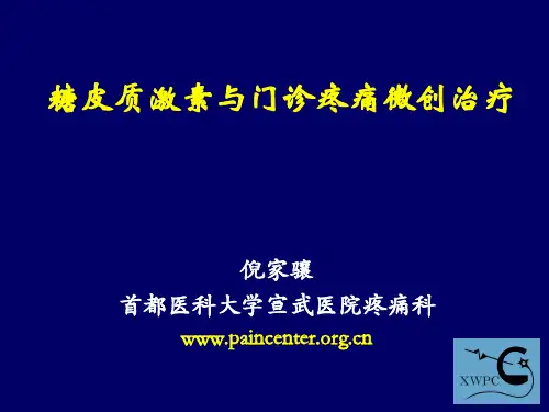 糖皮质激素在疼痛微创治疗的应用 倪家骧