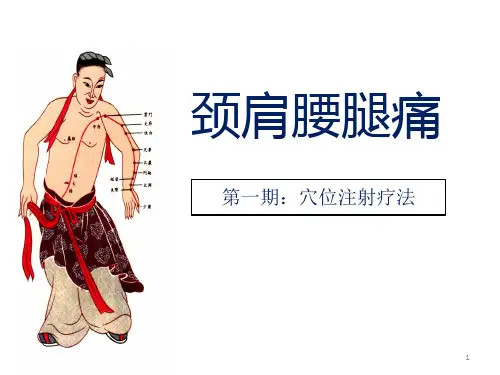颈肩腰腿痛穴位注射疗法PPT幻灯片