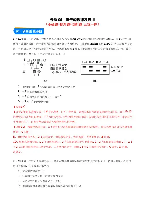 专题05 遗传的规律及应用-2024年高考生物一模试题分类汇编(广东专用)