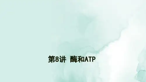 高三生物一轮复习精品课件4：第8讲 酶和ATP