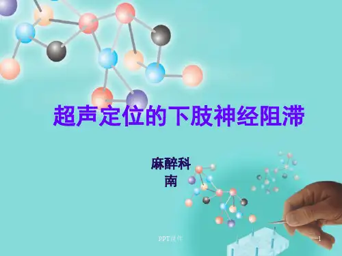超声定位的下肢神经阻滞  ppt课件
