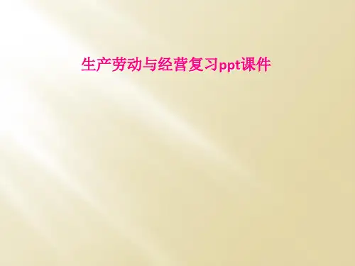生产劳动与经营复习ppt课件