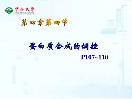 生物化学：第四章 蛋白质合成的调控(讲义)