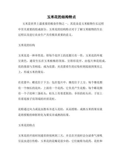 玉米花的结构特点