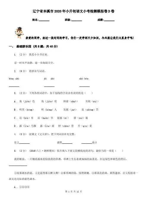 辽宁省本溪市2020年小升初语文小考检测模拟卷D卷