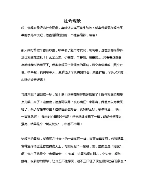 作文《社会现象》