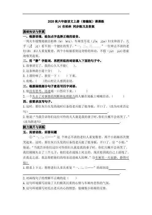 2020秋六年级语文上册(部编版)课课练14 在柏林 同步练习及答案