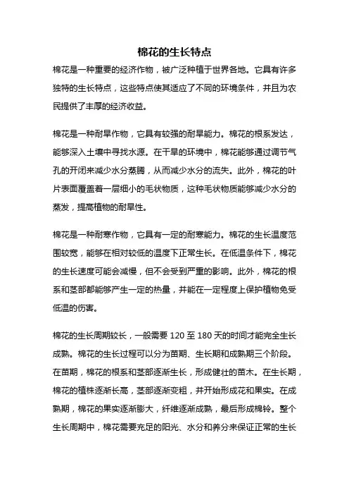 棉花的生长特点