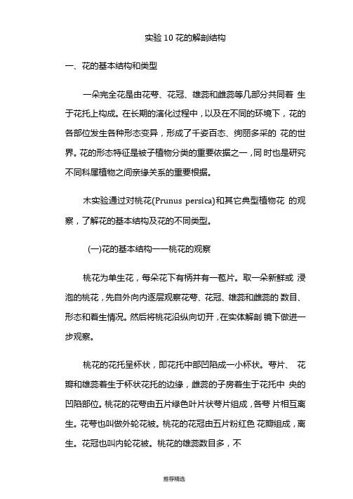 花的解剖结构