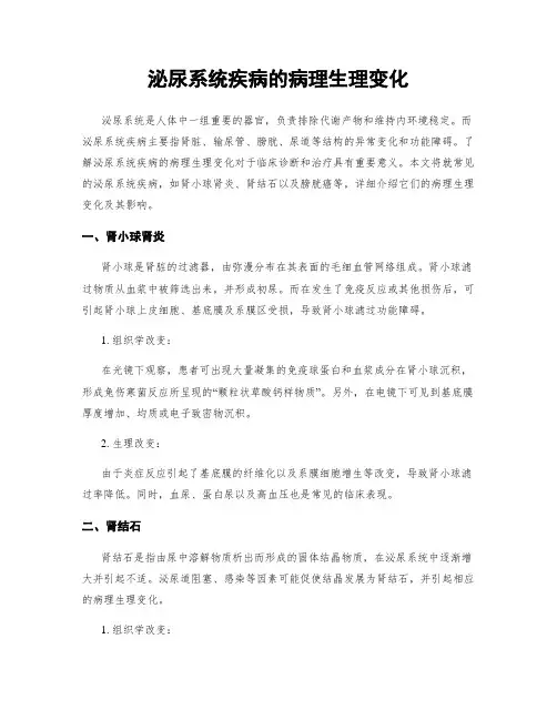 泌尿系统疾病的病理生理变化