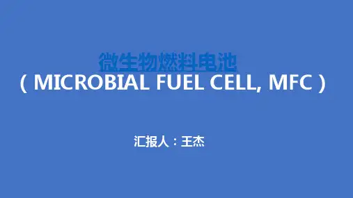 微生物燃料电池(MFC)