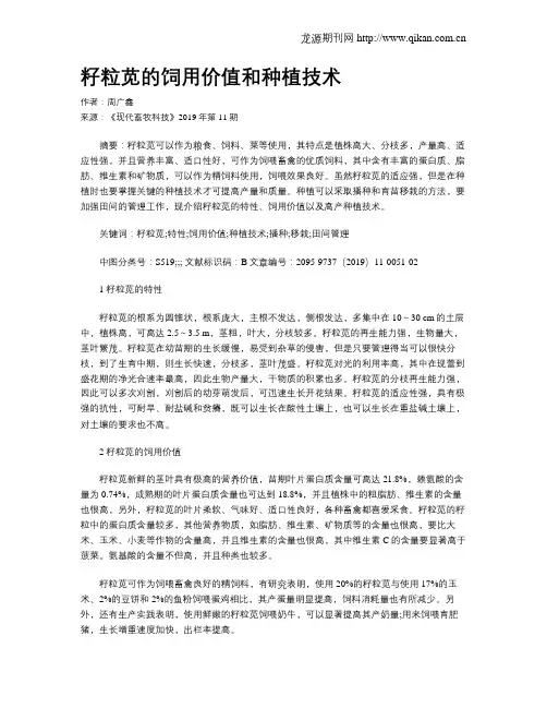 籽粒苋的饲用价值和种植技术