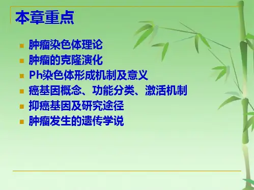 第十三章 肿瘤遗传学(共70张PPT)