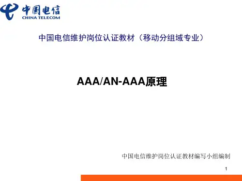 AAA原理解析