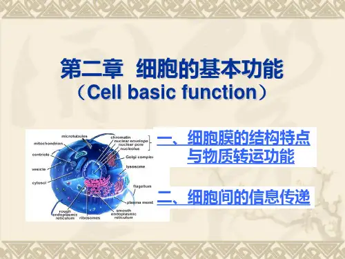 人体解剖生理学第二章
