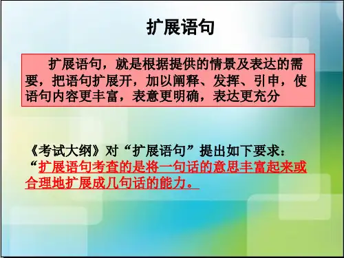 2013高三扩展语句(自用)