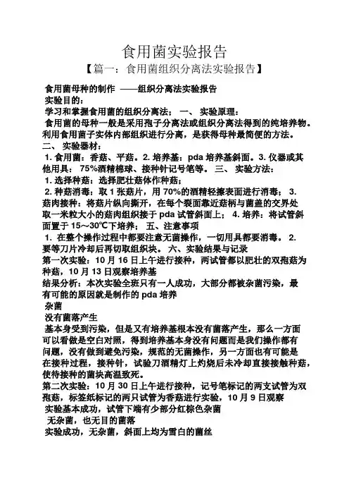 工作报告之食用菌实验报告