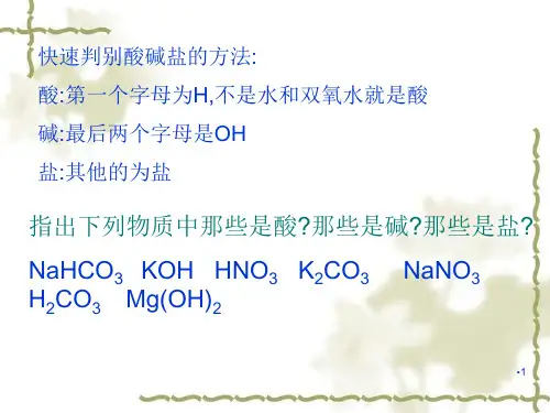 生活中常见的盐-PPT课件