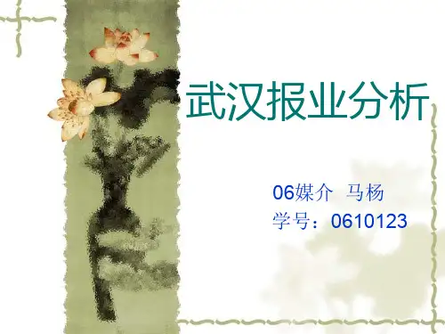 武汉报业分析2019年