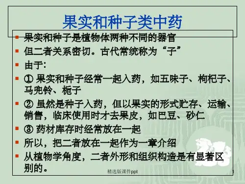 果实和种子类中药
