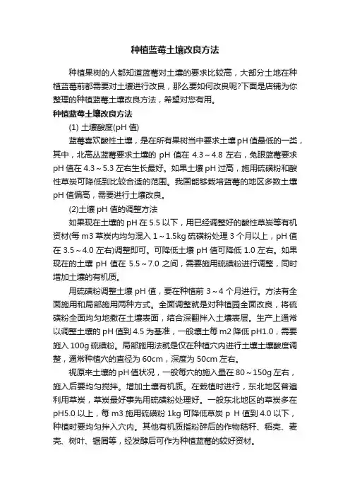 种植蓝莓土壤改良方法