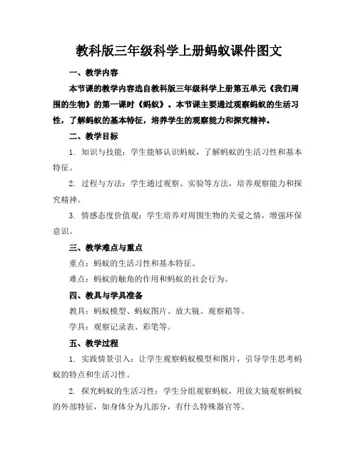 教科版三年级科学上册蚂蚁课件图文(1)