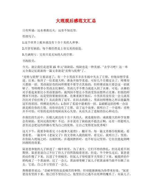 大理观后感范文汇总