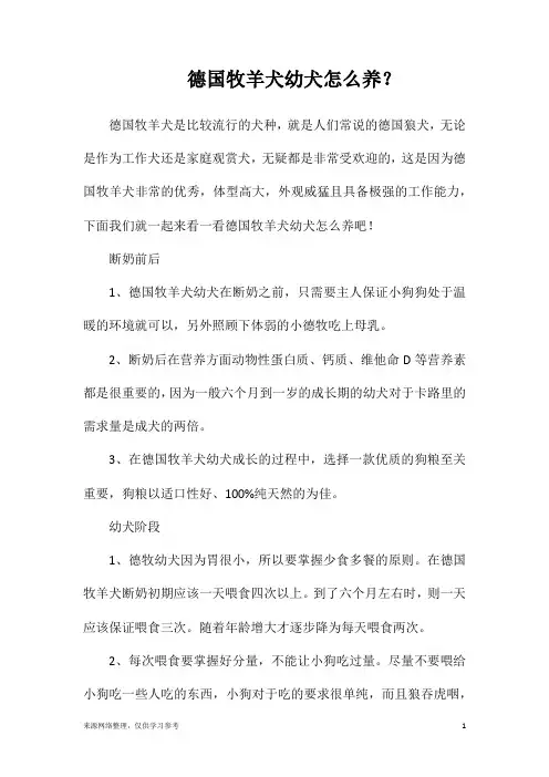 德国牧羊犬幼犬怎么养？