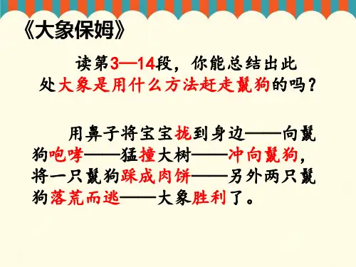《大象保姆》阅读理解