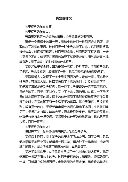 关于捉鱼的作文5篇