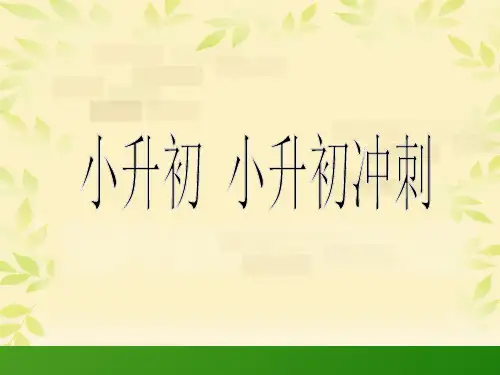 部编版语文小升初冲刺课件-第12课 修改病句及《水浒传2》