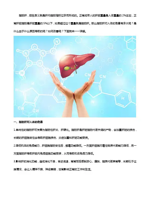 脂肪肝对人体的危害有多大,水飞蓟什么牌子好