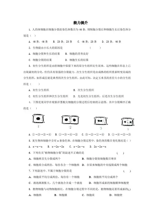 北师大版七年级生物《细胞通过分裂增殖》能力提升