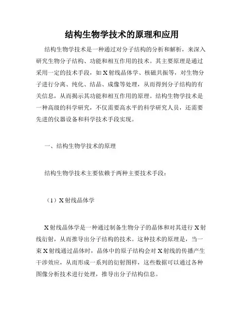 结构生物学技术的原理和应用