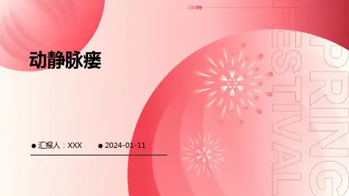 动静脉瘘PPT演示课件