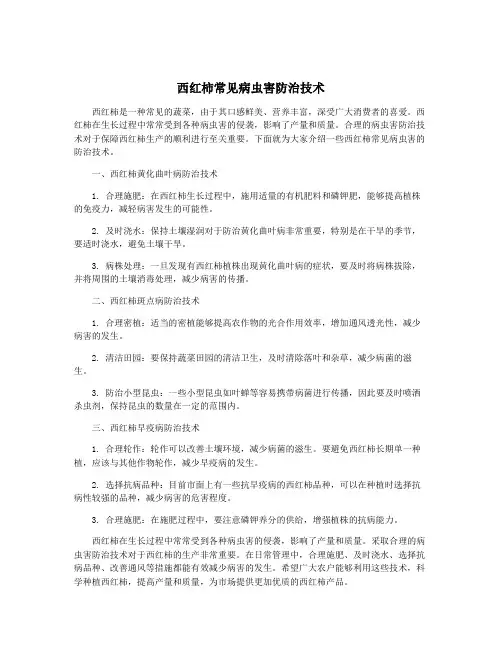 西红柿常见病虫害防治技术