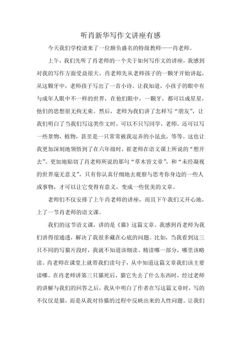 听肖新华写作文讲座有感