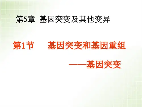 人教版高中生物第五章第一节基因突变(Y) 公开课课件