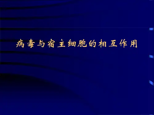 病毒与宿主细胞的相互作用