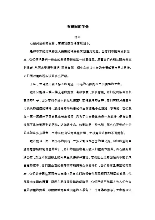 石缝间的生命赏析