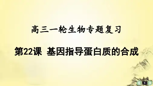 高三一轮生物专题复习22：基因指导蛋白质的合成