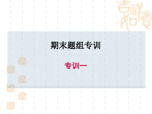 人教版八年级下册英语 期末题组专训 专训一