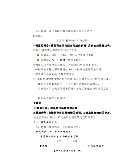 糖原合成与分解