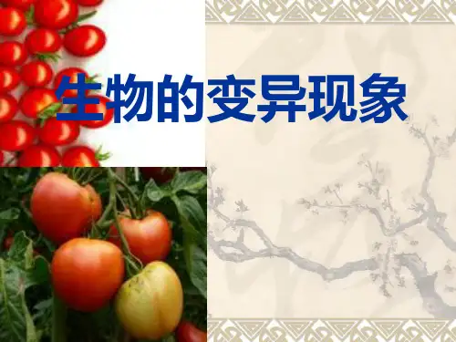 六年级下册科学_生物的变异现象苏教版(19张)精品课件