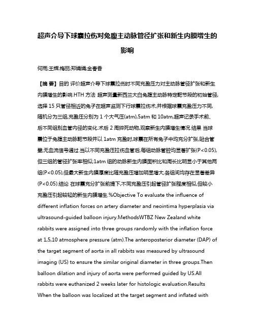 超声介导下球囊拉伤对兔腹主动脉管径扩张和新生内膜增生的影响