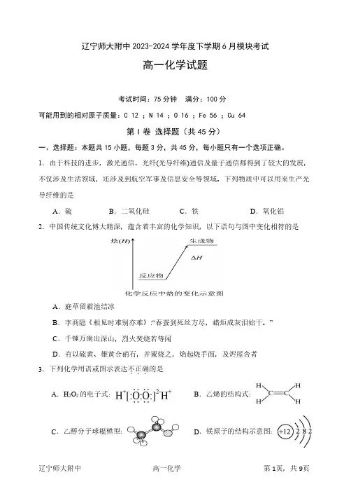 辽宁省大连市辽宁师范大学附属中学2023-2024学年高一下学期6月模块考试化学试卷