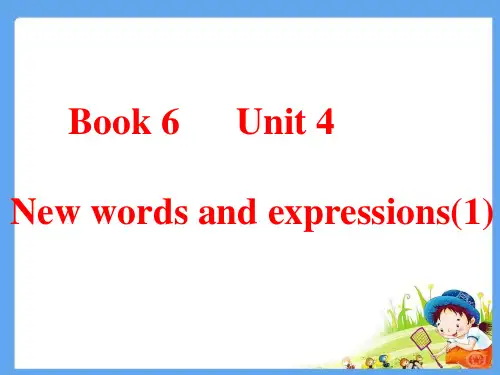 新课标人教版选修六Book6 Unit4 Vocabulary(1)