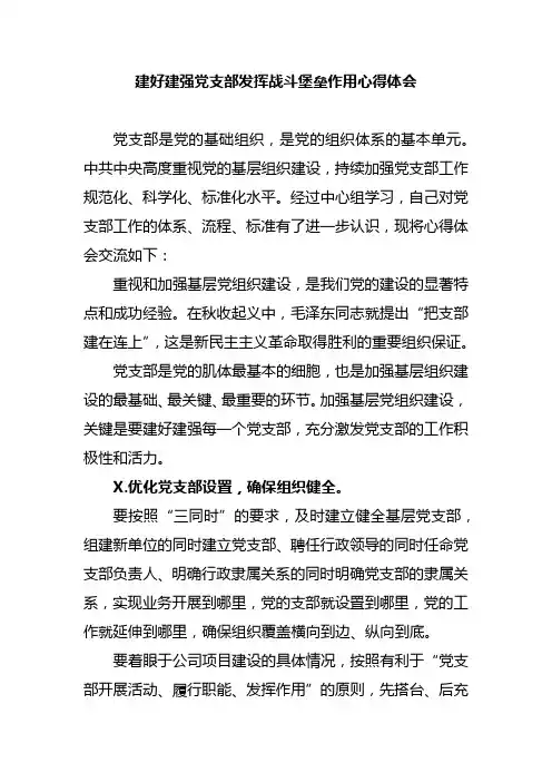 建好建强党支部发挥战斗堡垒作用心得体会